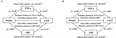 Association of Prenatal Famine Exposure With Inflammatory Markers and Its Impact on Adulthood Liver Function Across Consecutive Generations